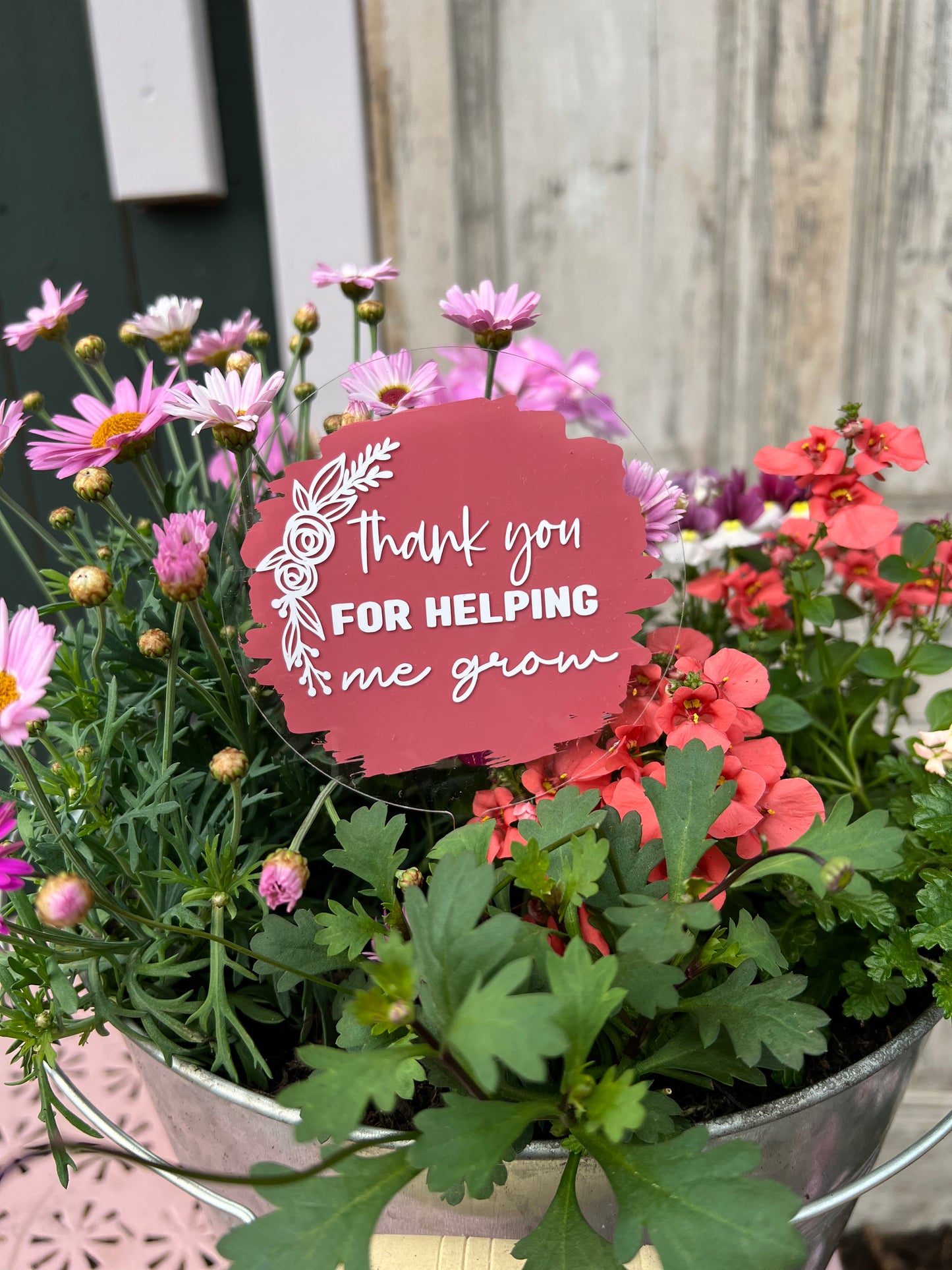 Thank you for helping me grow plant pick
