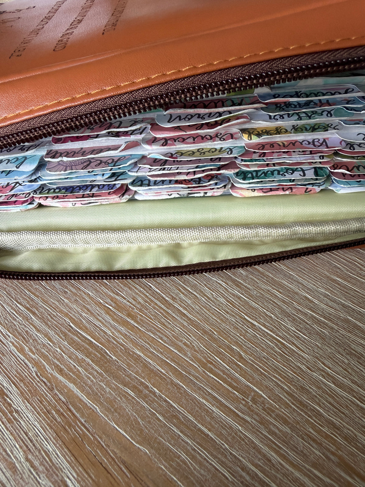 Goodness of God Bible Cover & Case | Tan