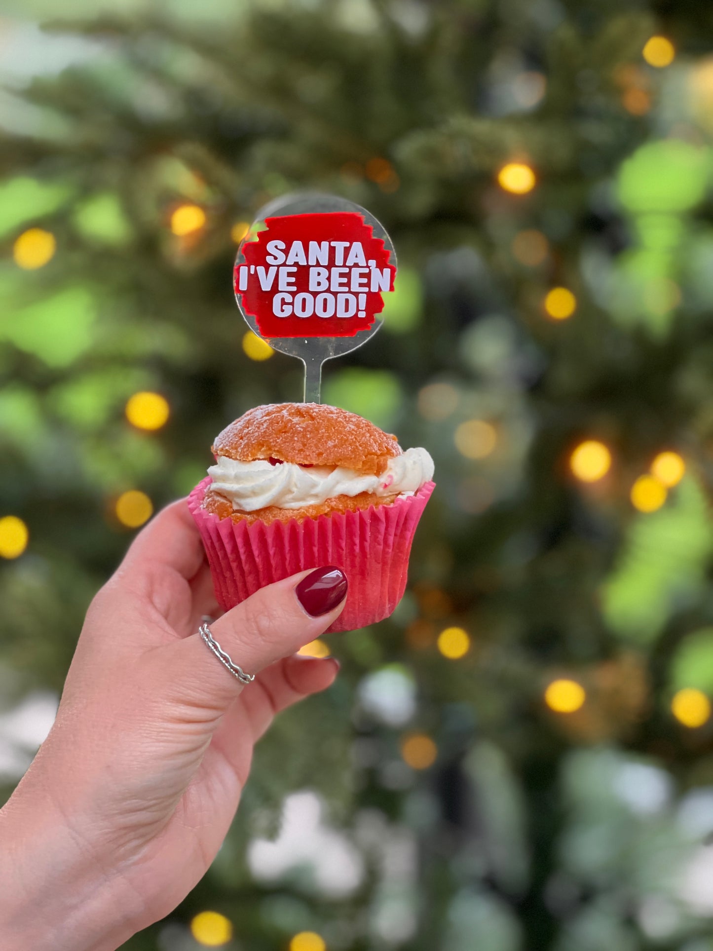 Santa’s treat topper