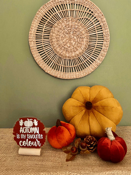 Autumn is my favourite colour acrylic plaque