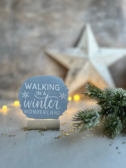 Walking in a winter wonderland acrylic plaque