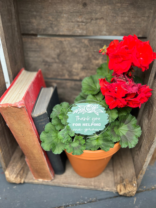 Thank you for helping me grow plant pick